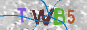 CAPTCHA Image